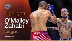 O'Malley vs. Zahabi I HIGHLIGHTS I #UFCWHITEHOUSE