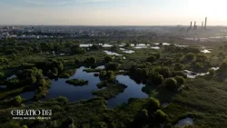 Parcul Natural Văcărești – București #CreatioDei