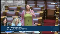 Ζ. Κωνσταντοπούλου (Πρόεδρος ΠΛΕΥΣΗΣ ΕΛΕΥΘΕΡΙΑΣ)(Ενίσχυση της επαγγελματικής ασφάλισης)(27/08/2026)