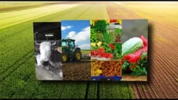 AGROKANAL I PRVA PARCELA FACILIJE 12-09-2026