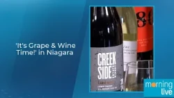 'It's Grape & Wine Time!' in Niagara