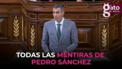 We identify all of Pedro Sánchez’s lies about Ceuta in his Senate appearance