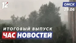 Heavy rain / Sidewalk improvements / A rare bird. Omsk News