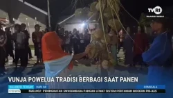 STHI - Donggala: Vunja Powelua, A Harvest Sharing Tradition