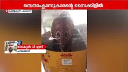 പാലക്കാട് ഒമ്പതാം ക്ലാസുകാരന്റെ സൈക്കിളില്‍ മൂര്‍ഖന്‍ പാമ്പ്