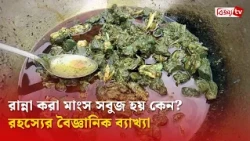 রান্না করা মাংস সবুজ হয় কেন? রহস্যের বৈজ্ঞানিক ব্যাখ্যা । Bijoy TV
