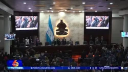 Selección de nuevos integrantes del CNE y TJE avanza bajo la lupa entre idoneidad y cuotas políticas