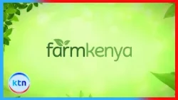 Secrets to Profitable Mushroom Farming: From Preparation to Harvest