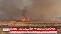 Biçindən sonra əkin sahələrinin yandırılması yolverilməzdir