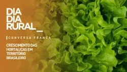 The Growth of Vegetables in Brazilian Territory