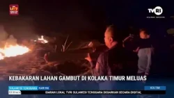 KEBAKARAN LAHAN GAMBUT DI KOLAKA TIMUR MELUAS
