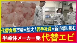 【LBS】本物のエビじゃない！？植物由来の「代替エビ」