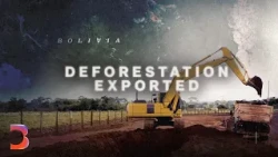 The Deal That May Reshape the Amazon’s Future
