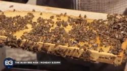 THE BUSH BEE MAN - MONDAY 9:30PM - CHANNEL 83