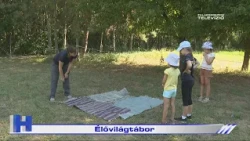 Élővilágtábor – ZTV Híradó 2026-08-12