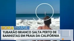 Great White Shark jumps near beachgoers in California | Bora Brasil
