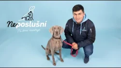 Auri je milá, ale skrýva sa pred všetkými – aj pred svojimi majiteľmi | Neposlušní