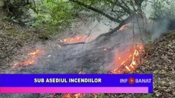Sub asediul incendiilor