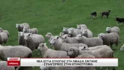 Νέα εστία ευλογιάς στη Λιβαδιά Σερρών - Συναγερμός στην κτηνοτροφία