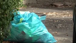 Ostia Antica: illegal waste dumping continues - Canale 10