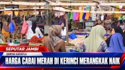 IMPACT OF FOREST FIRES, RED CHILI PRICES IN KERINCI CREEP UP