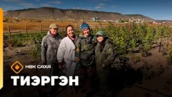 «Тиэргэн» ХИФУ Ботаническай садыгар мас олордуутун кэпсээтибит, көрдөрдүбүт (09.09.26)