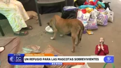 He Lost Almost Everything, Yet He Keeps Helping: Rescuer Creates Shelter for Affected Pets