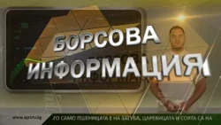 Борсовата информация по АГРО ТВ на 31 август