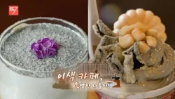 이색 카페, 특별한 나들이 / 강원매거진7 / [NOW 강원] / G1방송 / 260814