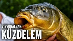 Vízvonalban: Küzdelem