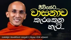 ජීවිතේට වාසනාව කැරකෙන හැටි.. | ආණමඩුව මහමෙව්නාව අසපුව  | Ven Ankubure Amithadeepa Thero