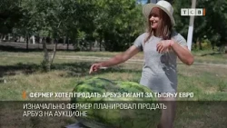Фермер хотел продать арбуз-гигант за тысячу евро