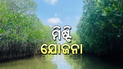 MISHTI Yojana | Mangrove Conservation & Coastal Protection | ମାଙ୍ଗ୍ରୋଭ୍ ସୁରକ୍ଷା | DD Odia