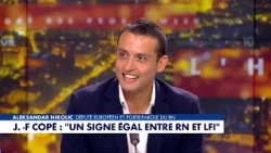 Aleksandar Nikolic: "Equating the National Rally with LFI is indecent"