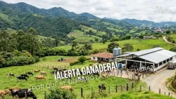 Livestock Alert! Why Did the Dairy Crisis Skyrocket? 🚜 - TvAgro by Juan Gonzalo Angel