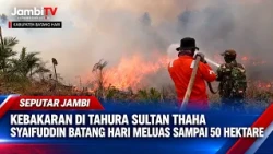 FIRE AT SULTAN THAHA SYAIFUDDIN FOREST PARK IN BATANG HARI SPREADS TO 50 HECTARES