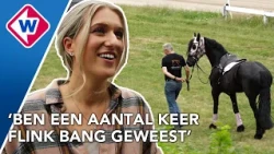 Britt Dekker neemt nieuwe paardenfilm op