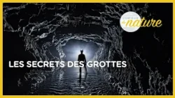 Voyage au centre de la Terre - Curieux de nature #14