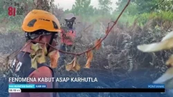 AUGUST 13, 2026 WILDFIRE HAZE PHENOMENON