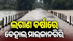 Heavy Rainfall Floods Bridges in Malkangiri, Disrupts Road Connectivity || Kalinga TV