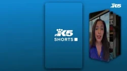 KING 5 Shorts