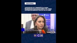 Libre deputies who voted for ENEE reforms are going to get their ears pulled