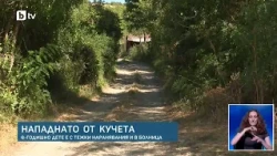 Глутница кучета нахапа 6-годишно дете във Враца, в болница е