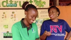 Establishing a productive food nursery for healthy crops | SEEDS OF GOLD