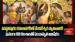 వనస్థలిపురం కమలానగర్‌లో వేంకటేశ్వర స్వామివారికి ఘనంగా 108 కలశాలతో పంచామృత అభిషేకం | Bhakthi TV
