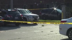 Family targeted in southwestern Illinois mass shooting; 5 dead, 2 wounded