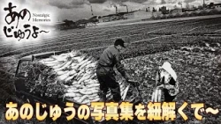 Ano-Jyu #207: Unveiling a Photo Collection of the Kinokawa River Area
