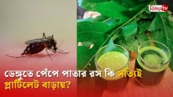 ডেঙ্গুতে পেঁপে পাতার রস কি সত্যিই প্লাটিলেট বাড়ায়? Bijoy TV