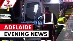 Telowie Gorge rescue; Pursuit ends in stolen car crash; Emergency plane landing in paddock | 7NEWS