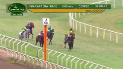 Hipódromo Monterrico - 7ma Carrera  31 Agosto 26